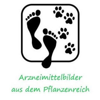 pflanzen