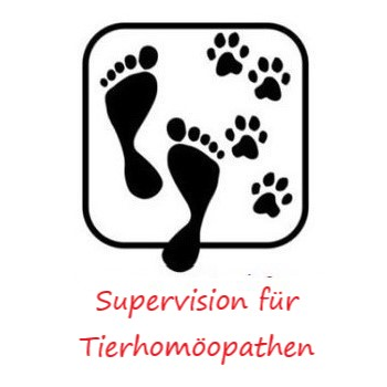 supervision
