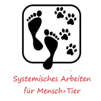 systemisch