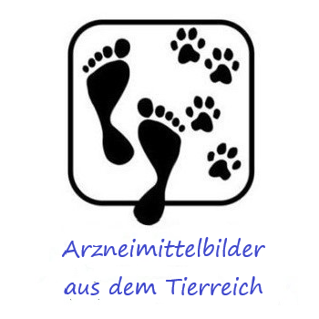 tierreich