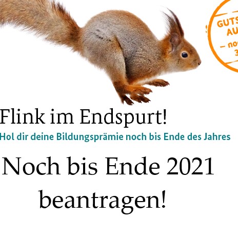 BIBB073_Onlinebanner_Endspurt_625x300_211005 Prämiengutschein