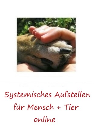 Aufstellen online