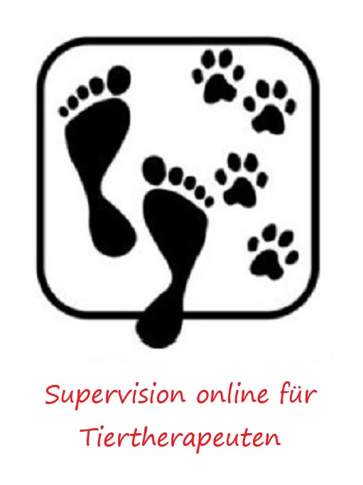 peggyschmah supervision online