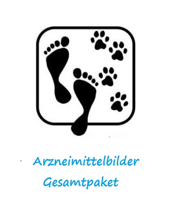 Gesamtpaket