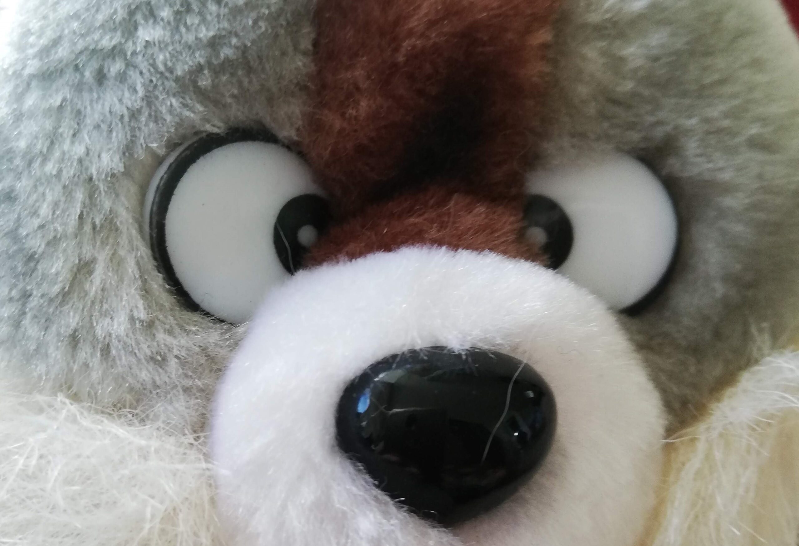 Angst Augen