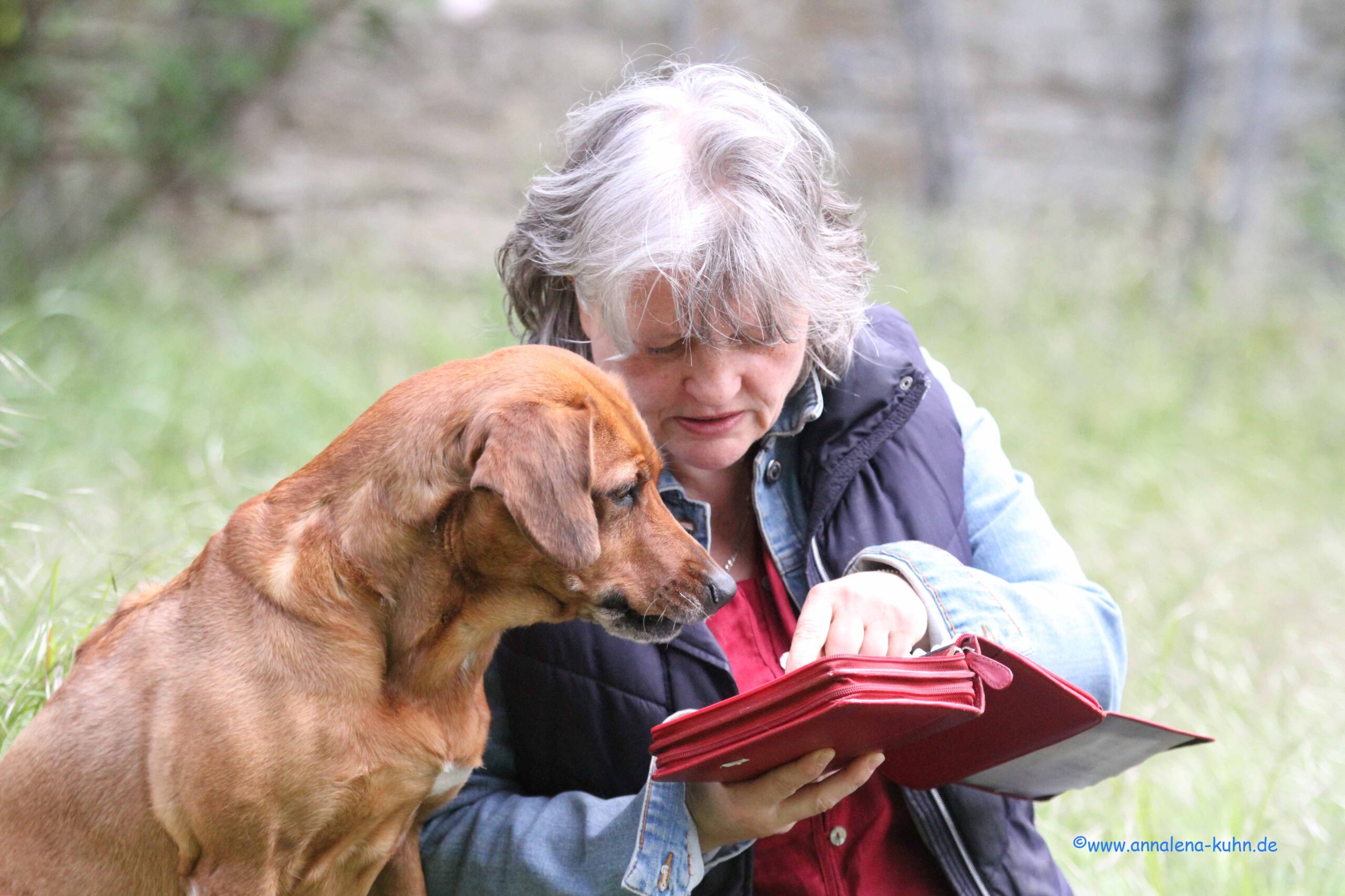 Logo16.05.2026 Peggy und die Tiere- Fotos Annalena Kuhn (674) - Kopie - Kopie Startseite