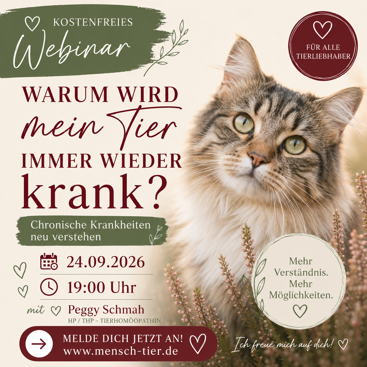 KI: Kostenfreies webinar, warum wird mein Tier immer wieder krank